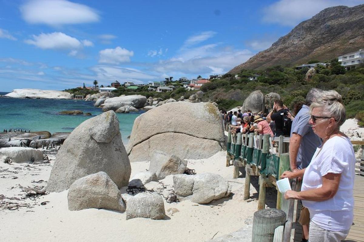 a group of people standing on a fence on the beach