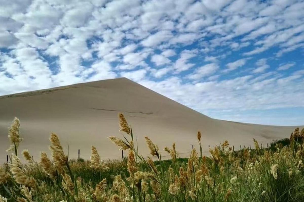 una grande duna di sabbia in mezzo a un campo
