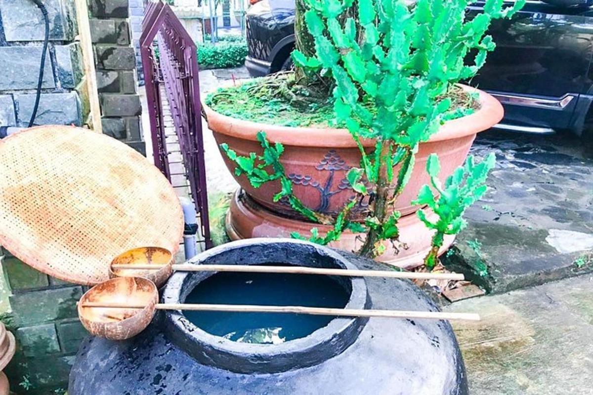pott kausi ja selles oleva taimega