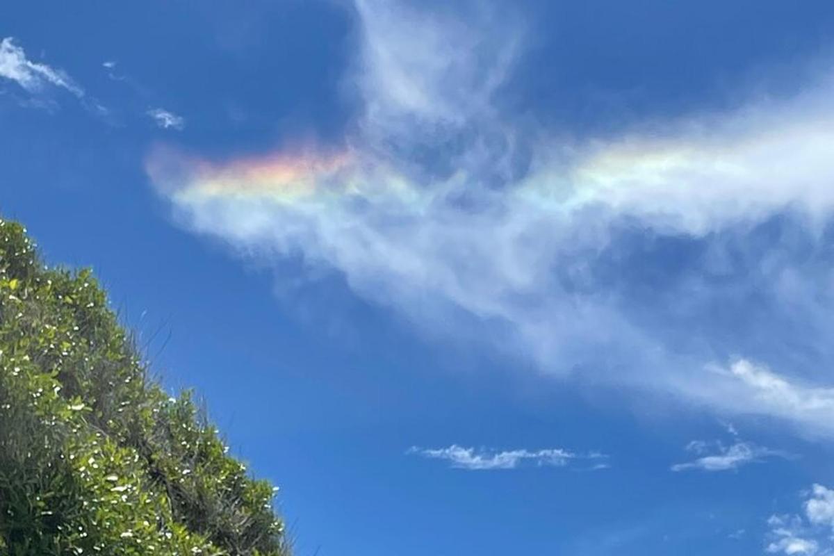 a rainbow in the sky with a tree