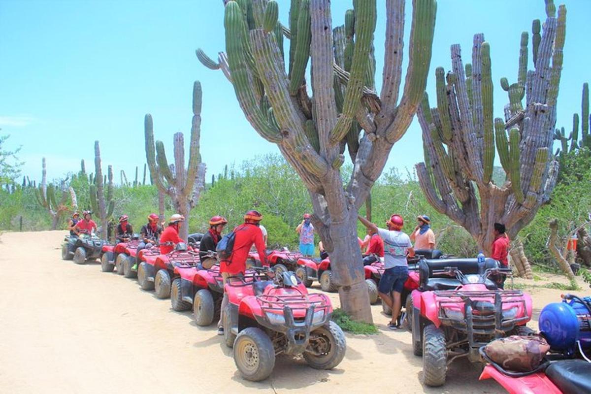 un gruppo di persone in giro su quad e quad