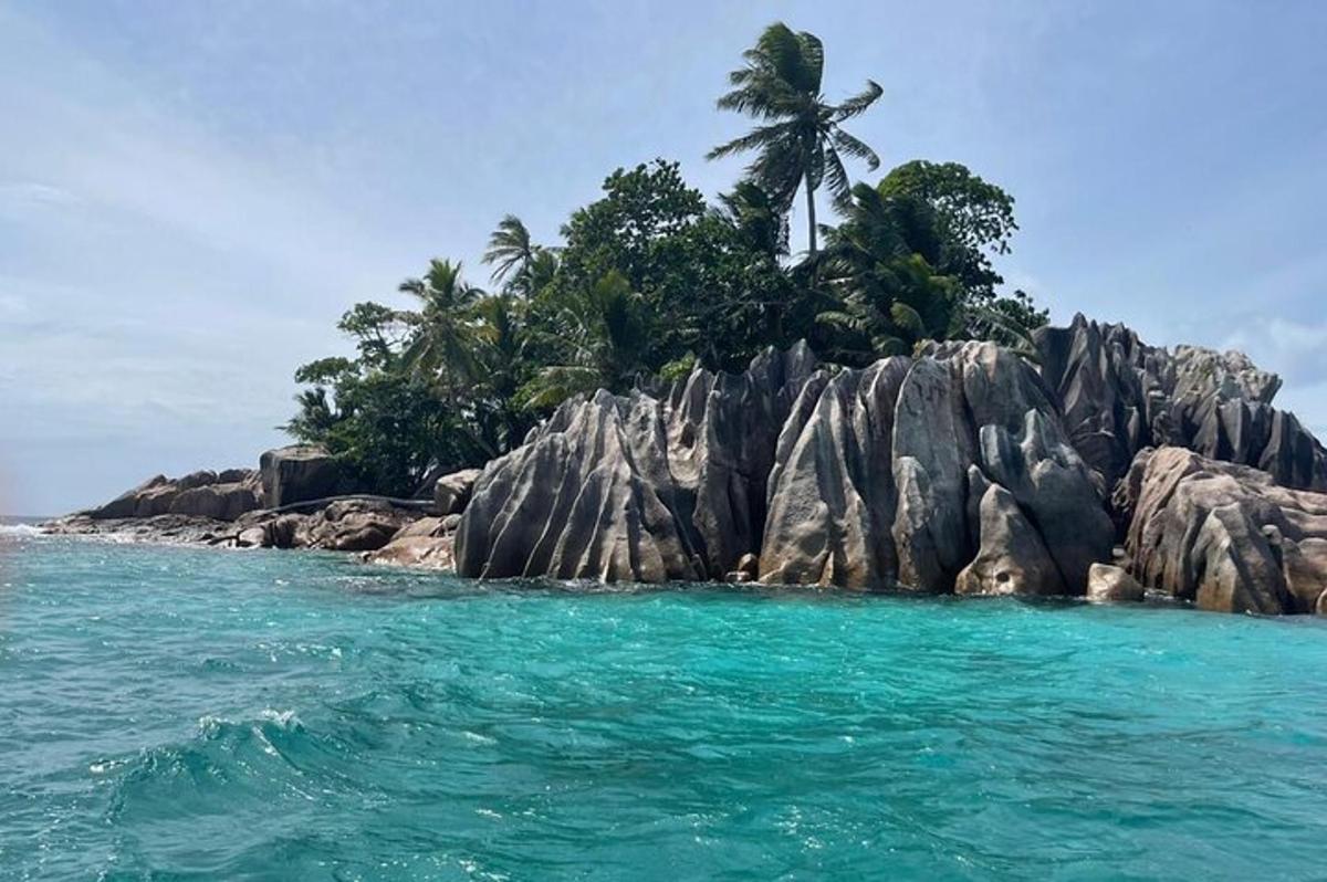 an island with a palm tree and the ocean
