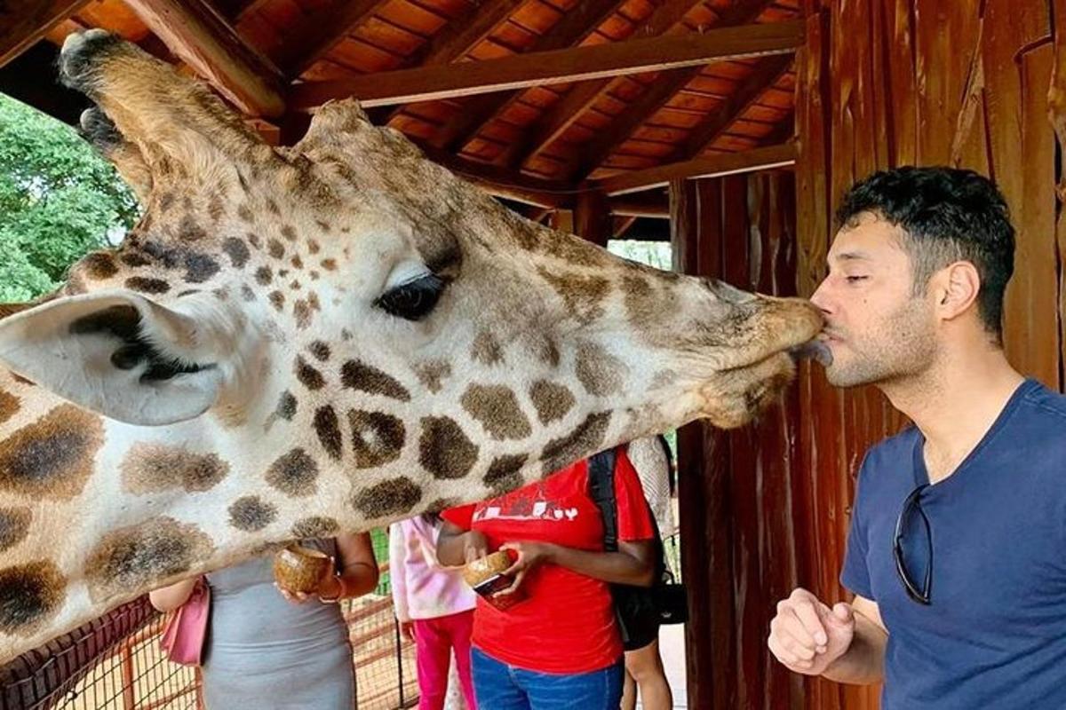 a giraffe is kissing a mans face