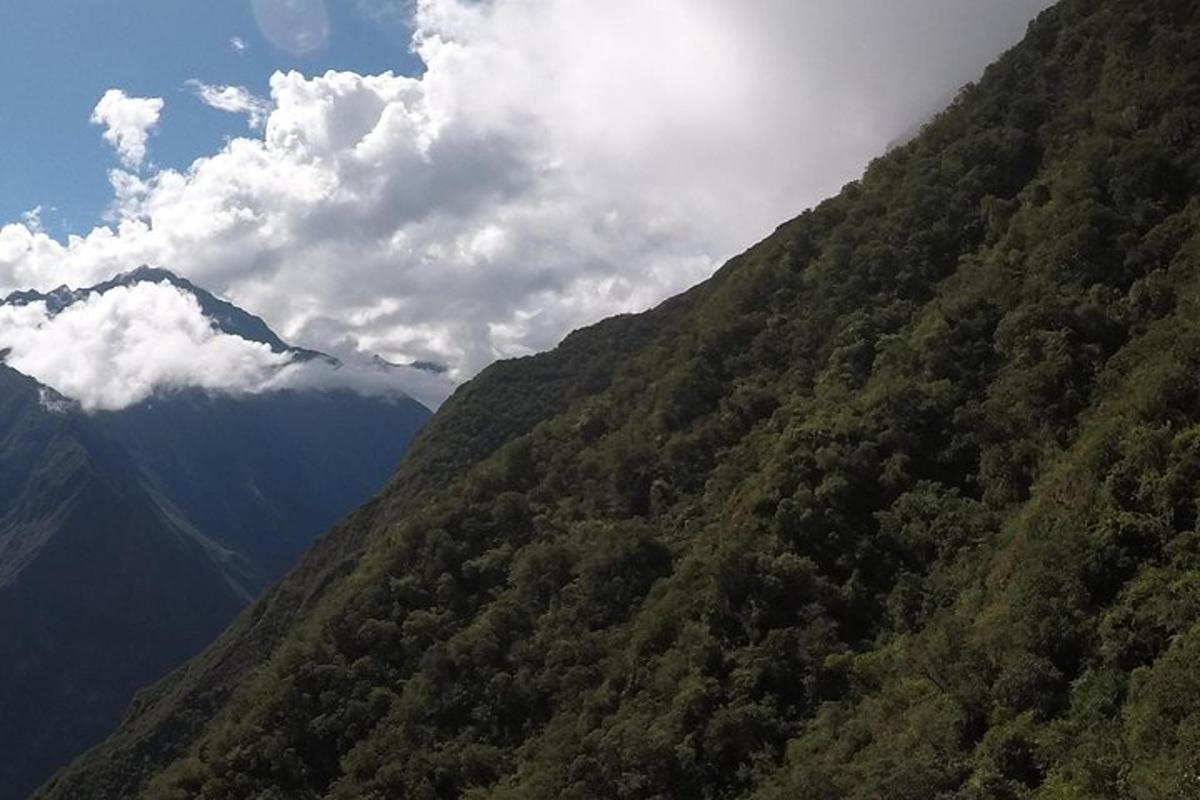 vista aèria d'una muntanya amb arbres i núvols