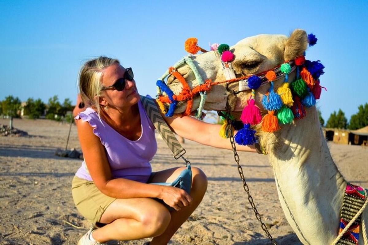 seorang wanita duduk di sebelah boneka beruang di pantai