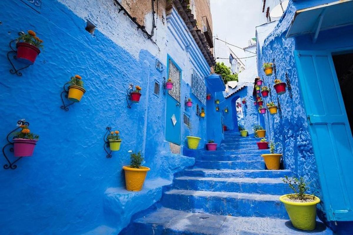 a staircase in a blue alley with potted plants