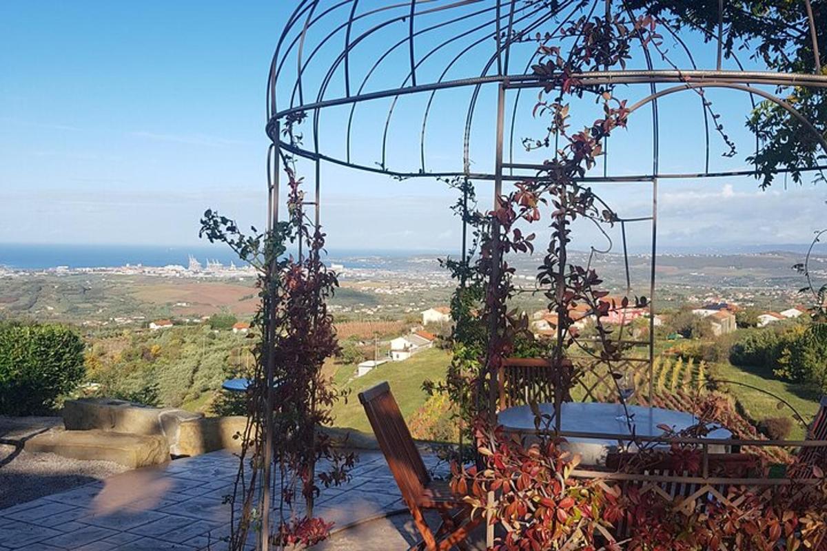 a bird cage filled with lots of vines