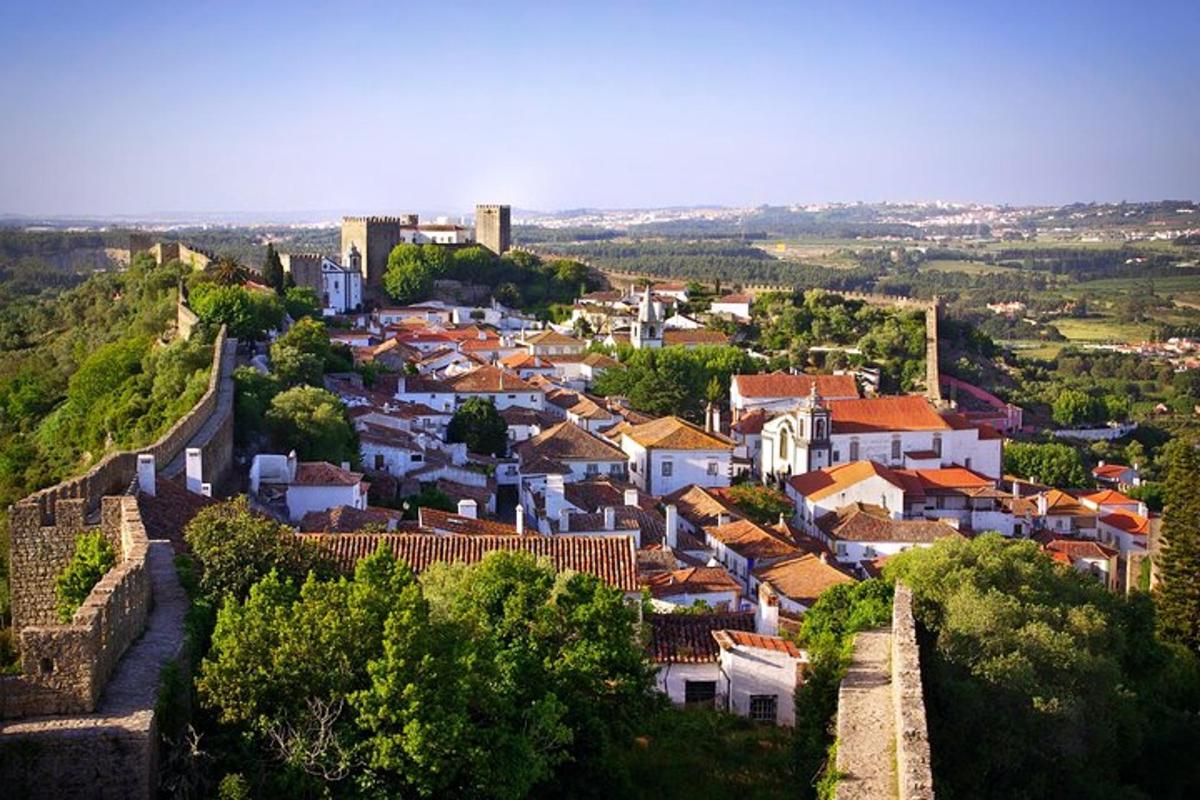 a small town on a hill with a castle