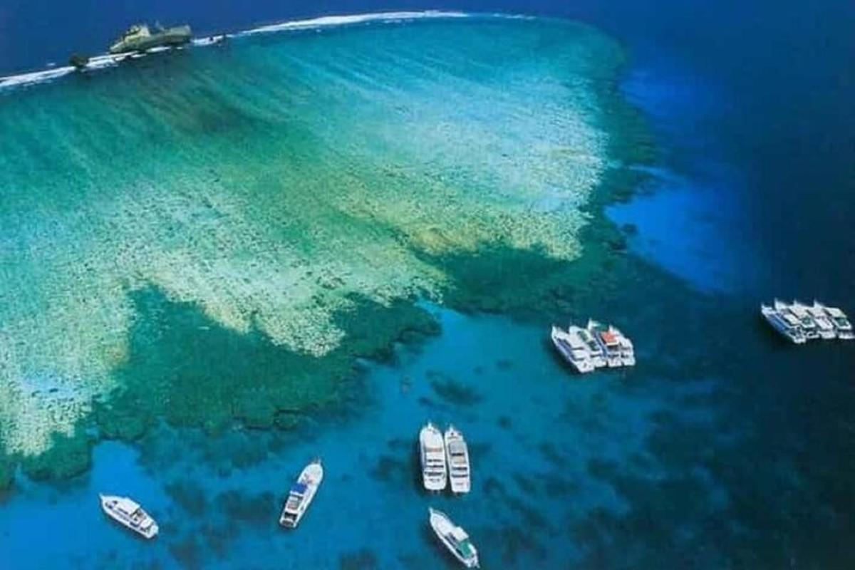 a group of boats in a large body of water