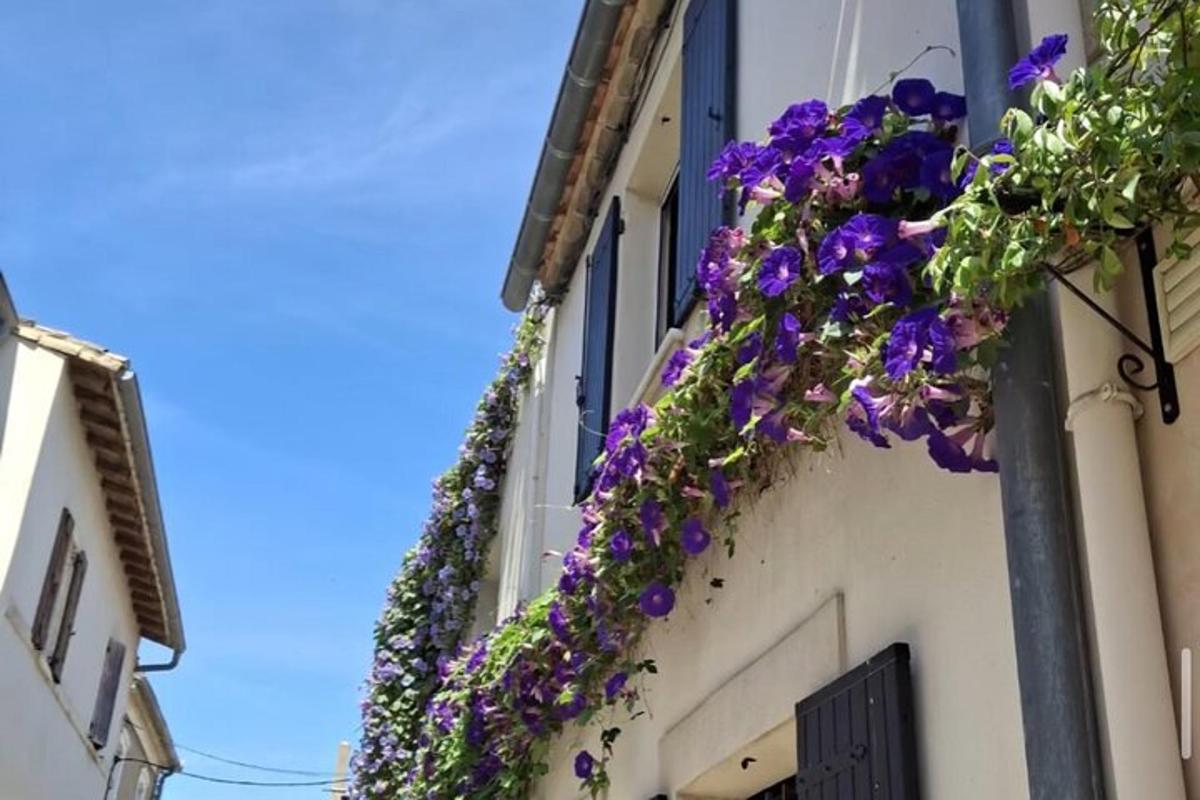 un bouquet de fleurs violettes suspendu à un bâtiment