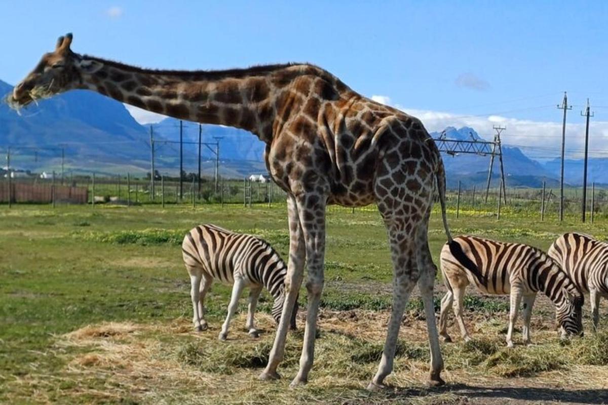 Attraction picture 1
