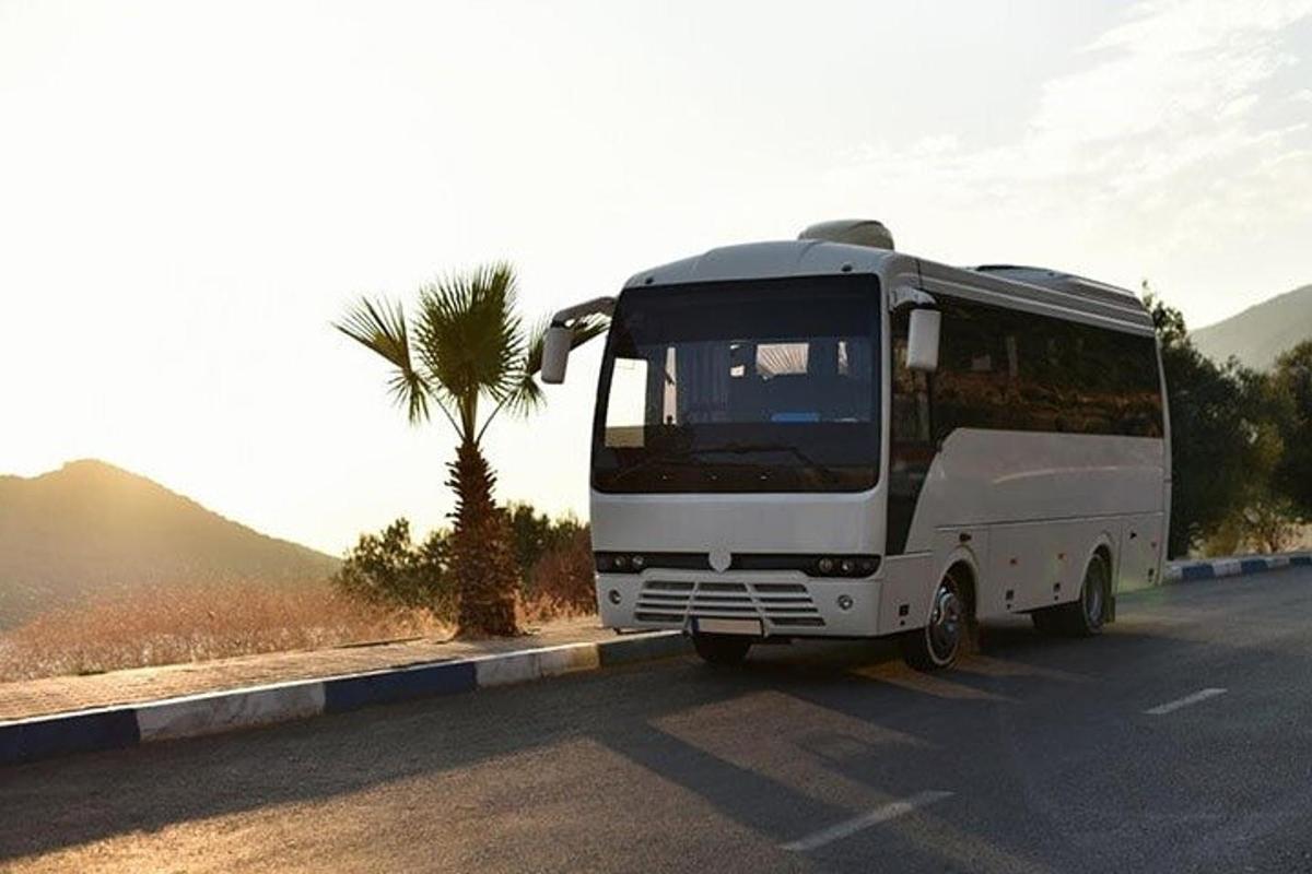 a white bus driving down a road with a palm tree
