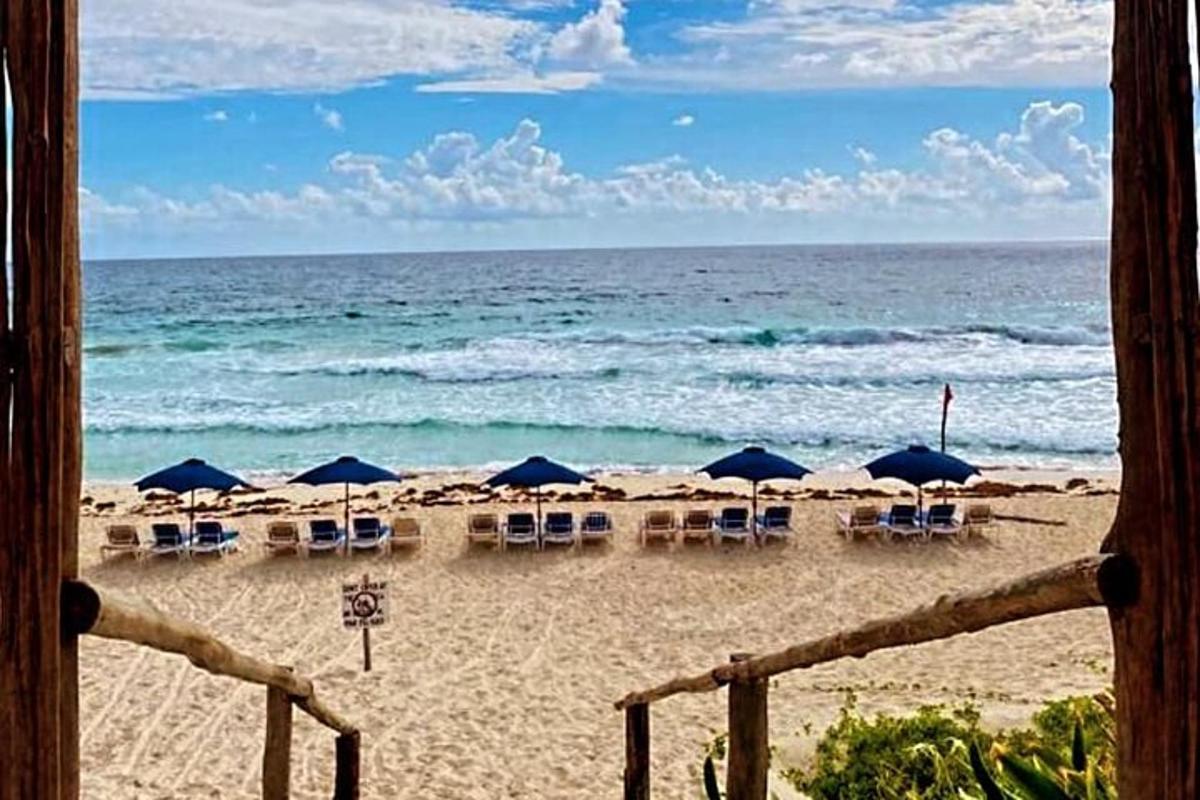 una spiaggia con ombrelloni e sedie e l'oceano