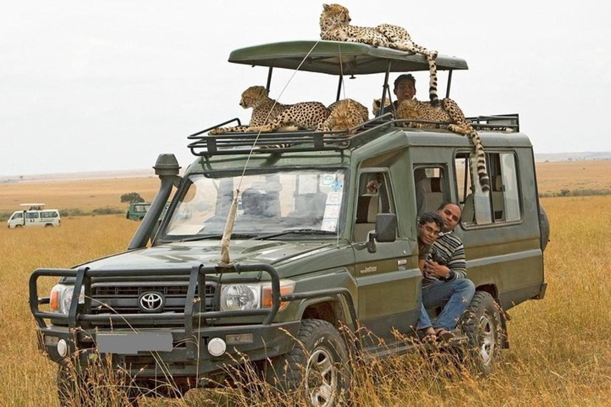 un gruppo di persone sedute sul tetto di un veicolo da safari
