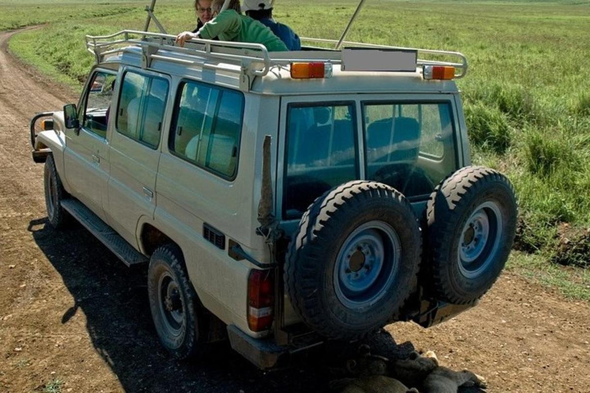 una jeep bianca parcheggiata su una strada sterrata