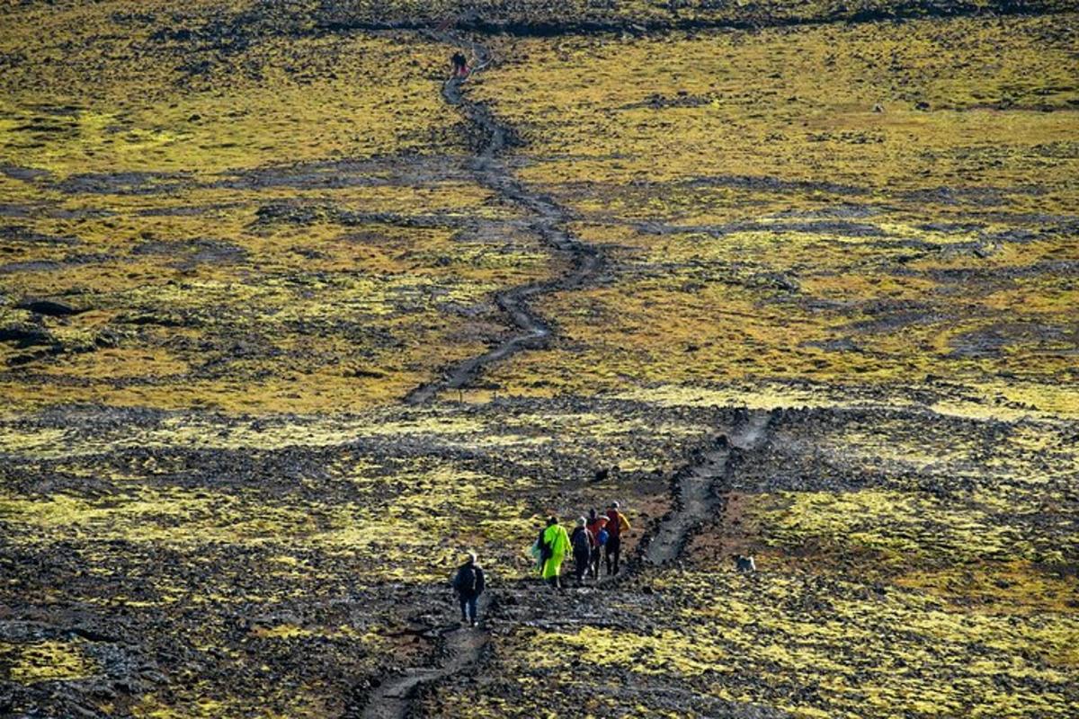 hópur fólks sem gengur niður akur