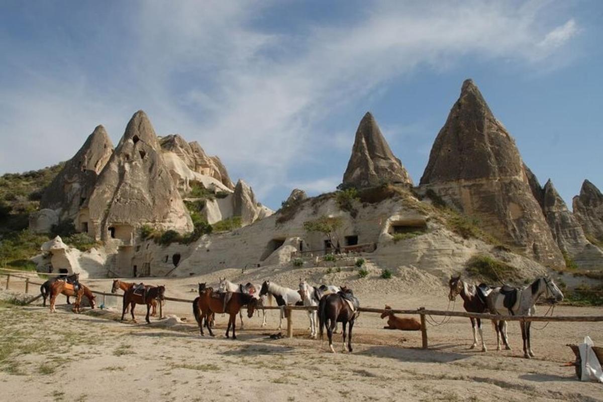 Un grupo de caballos de pie frente a unas rocas