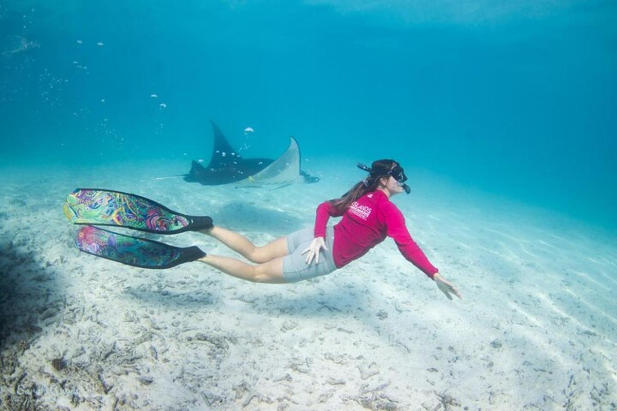 una dona a l'aigua amb una taula de surf a l'aigua