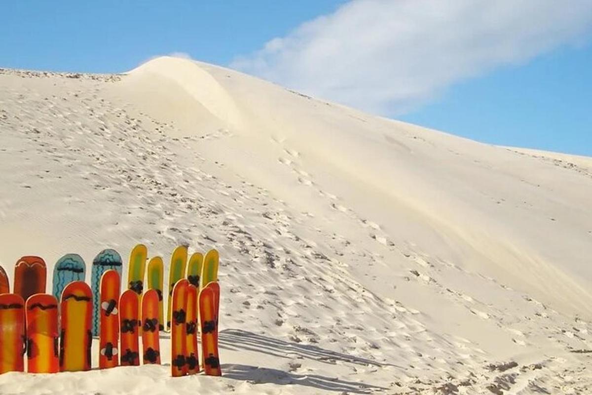 a group of skis lined up in the sand