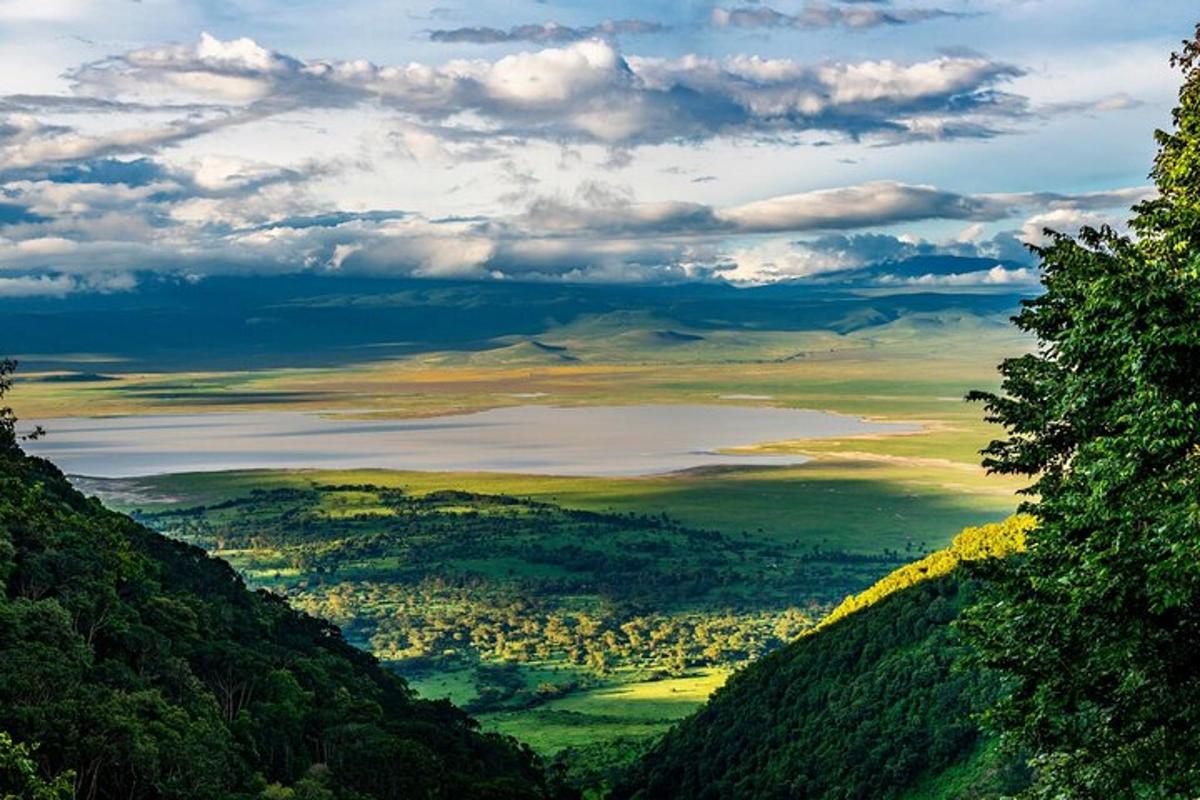 una vista di una valle da una montagna con alberi