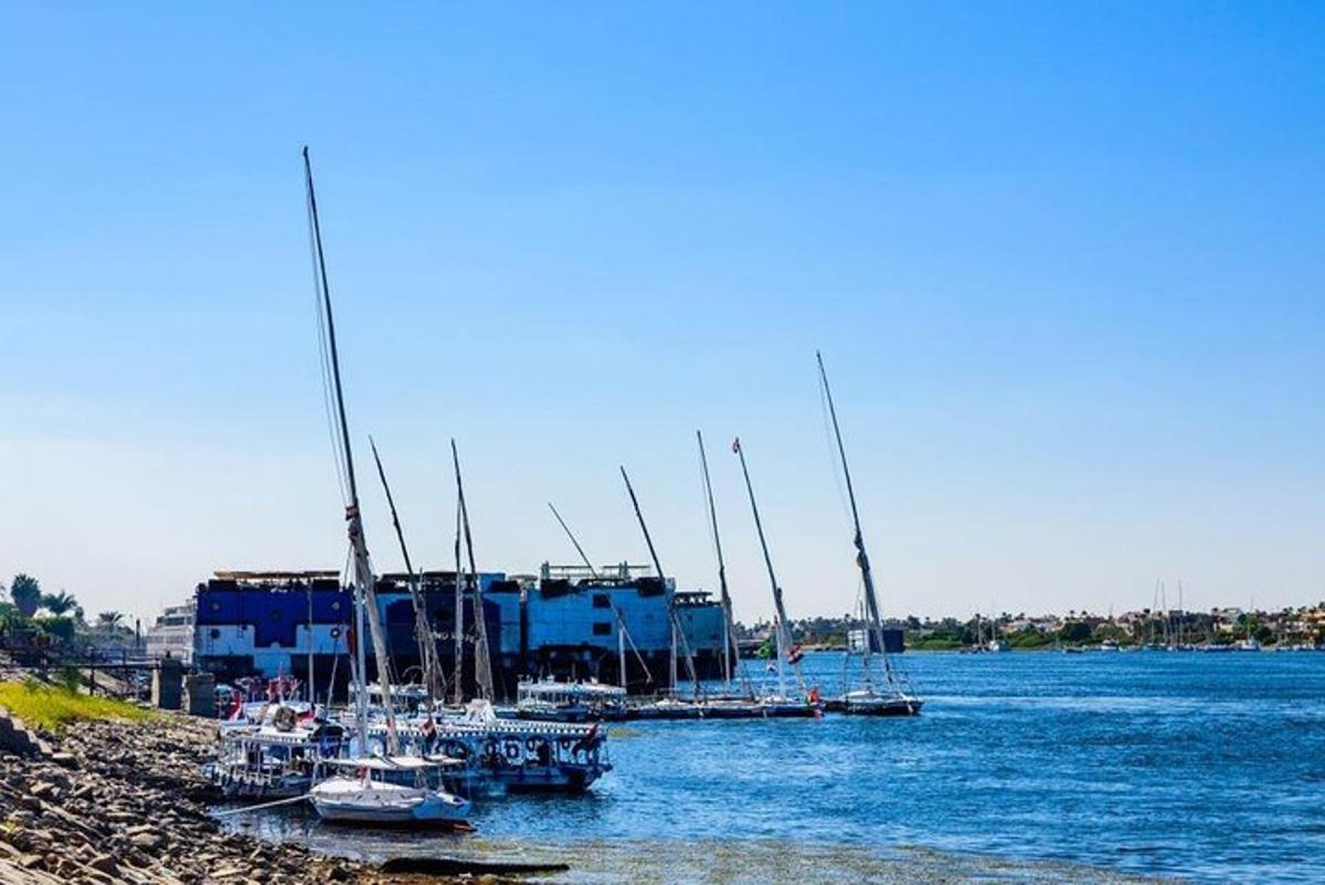 un grup de bărci sunt acostate într-un port