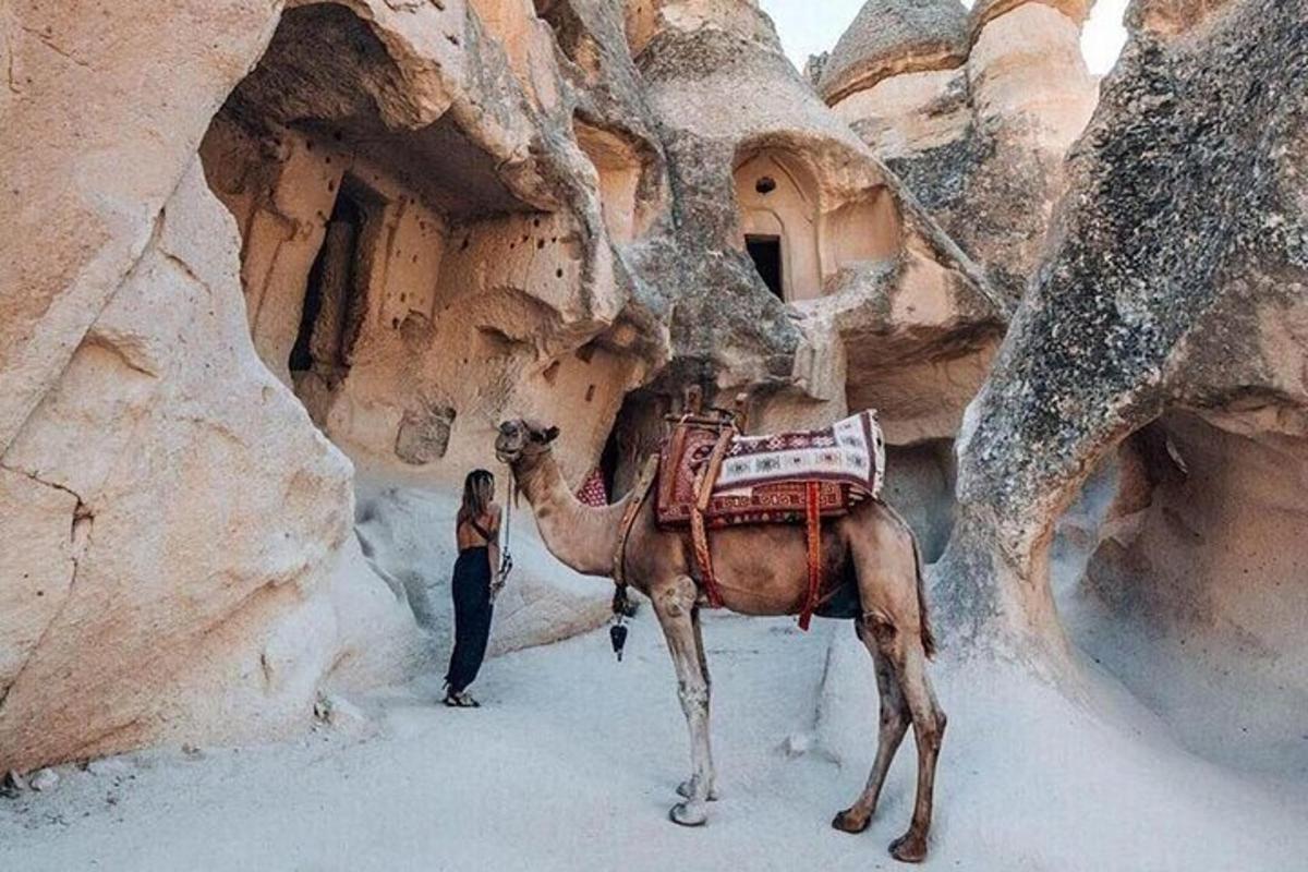 uma mulher parada ao lado de um camelo no deserto