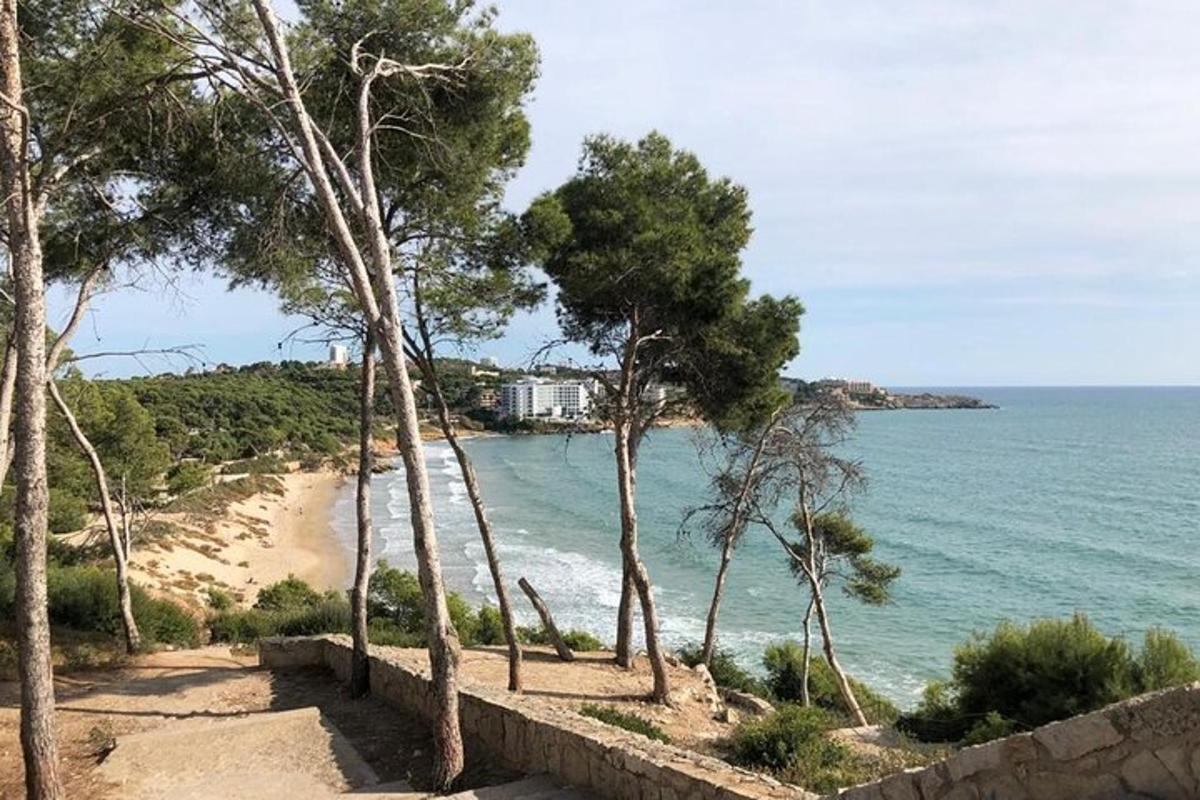 una vista di una spiaggia con alberi e l'oceano
