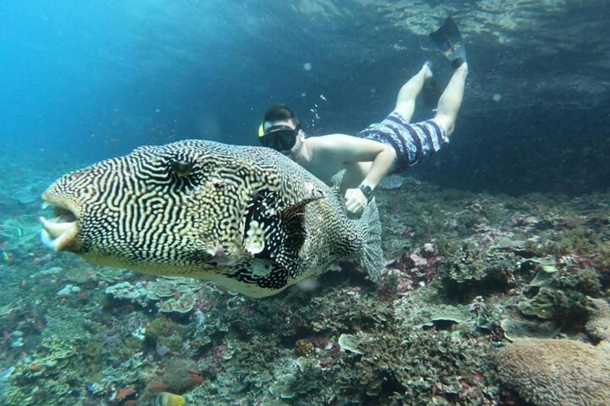 a man laying in the water next to a large fish