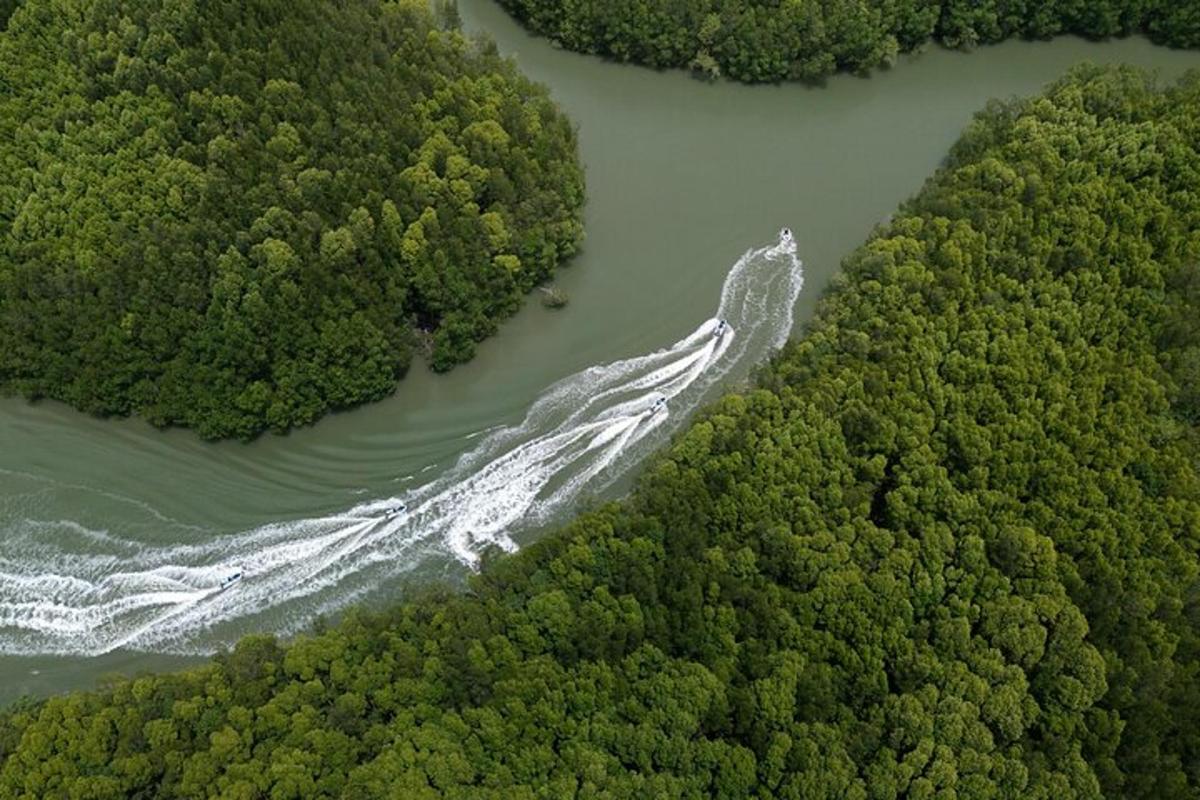an aerial view of a river in a forest