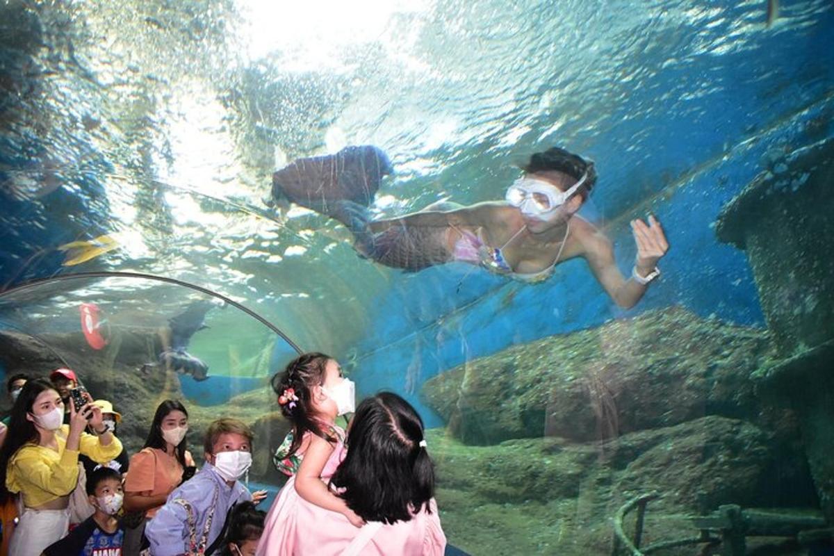 Attraction picture 1
