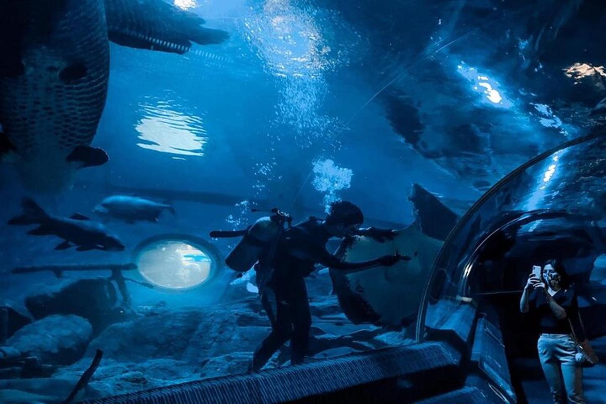Attraction picture 3