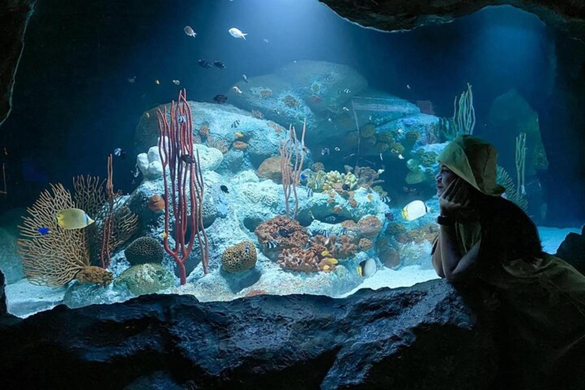 Attraction picture 4