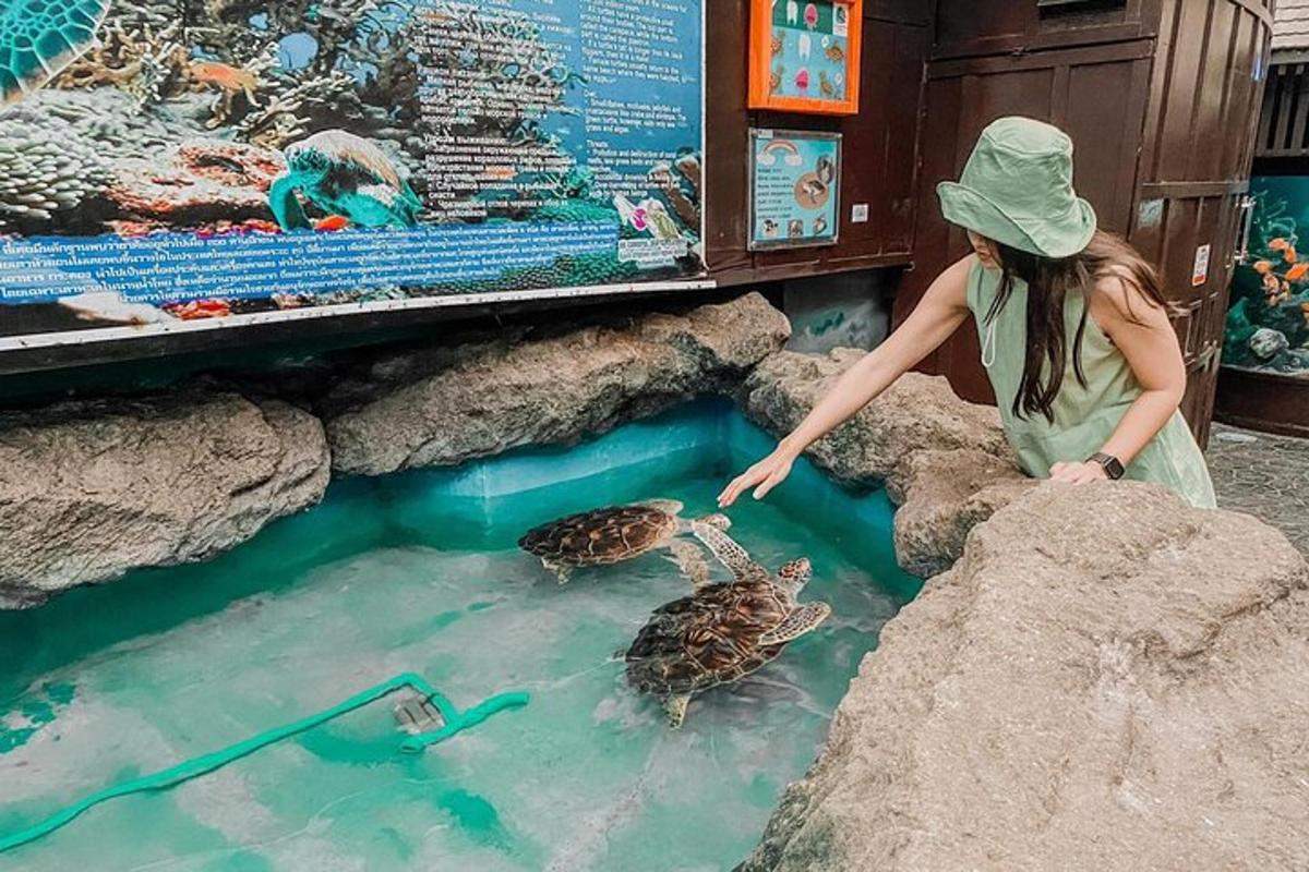 Attraction picture 6