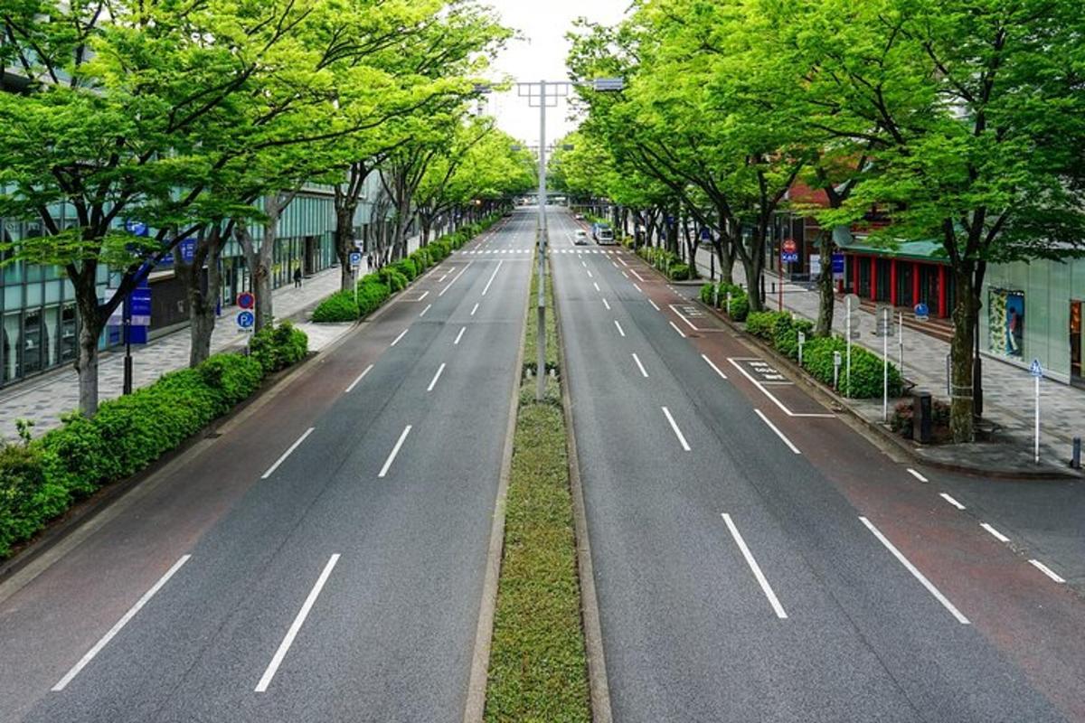 una strada vuota con alberi su entrambi i lati della strada