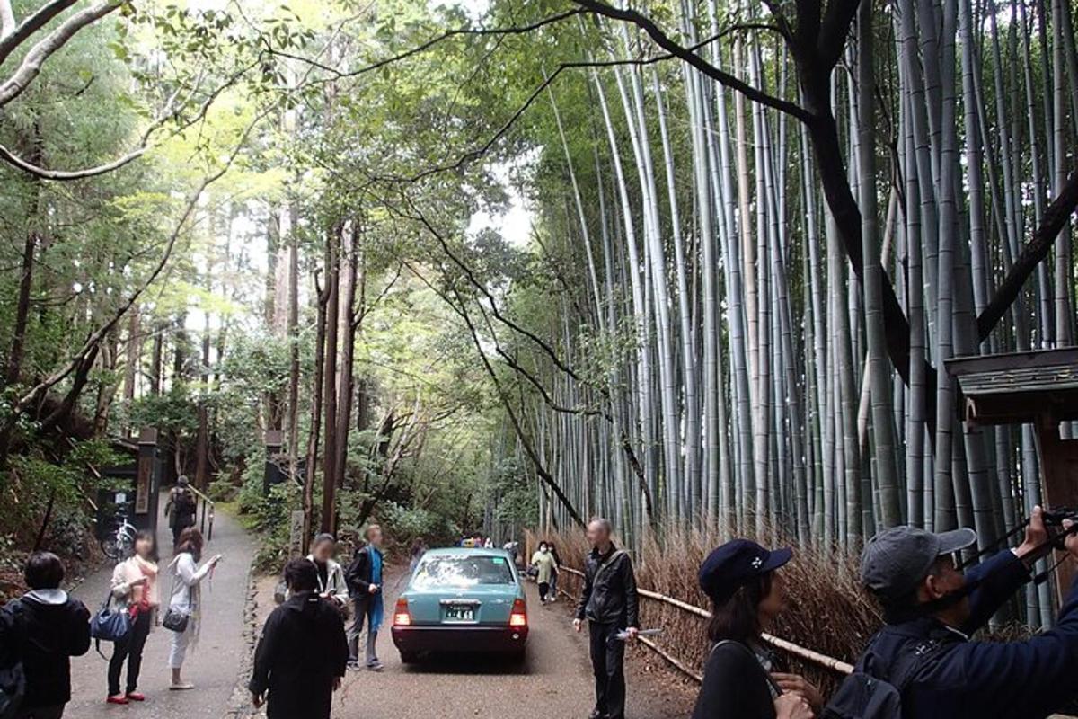 un gruppo di persone in piedi attorno a un'auto in una foresta di bambù