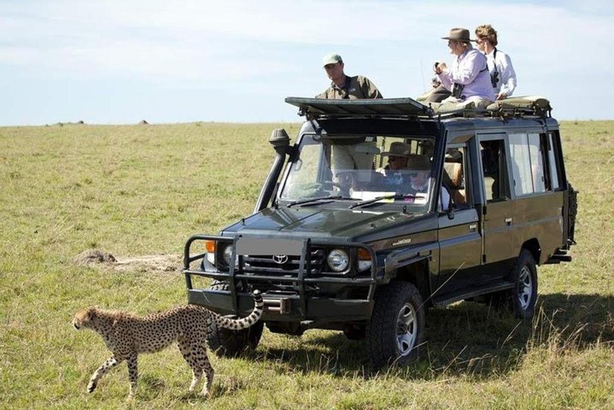 un ghepardo che cammina davanti a un veicolo da safari con delle persone
