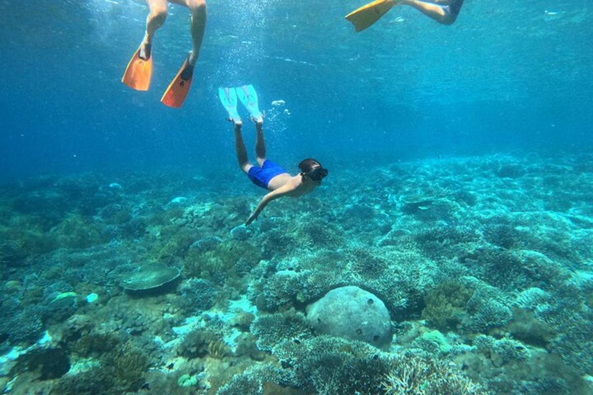 2人がバケツを持って海に潜っている
