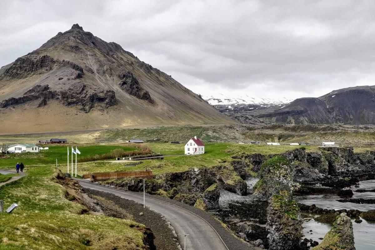 a road in a field with a mountain in the background