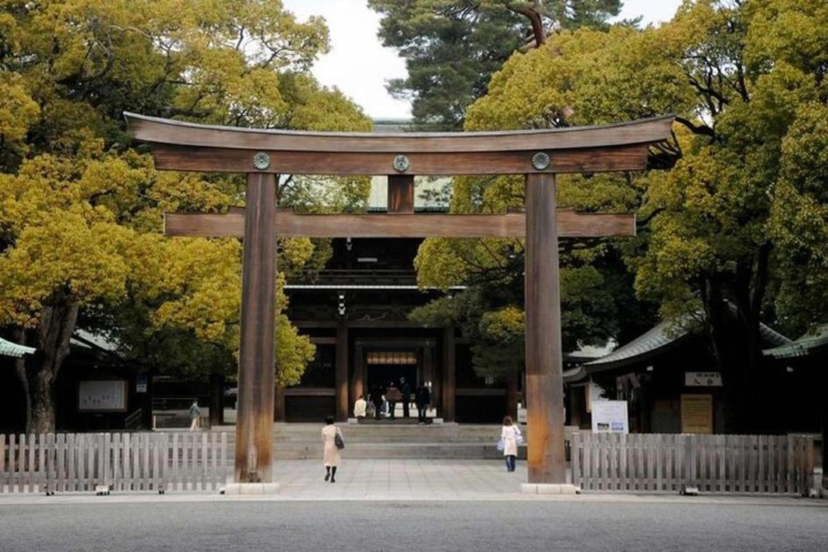 vrata torii pred stavbo
