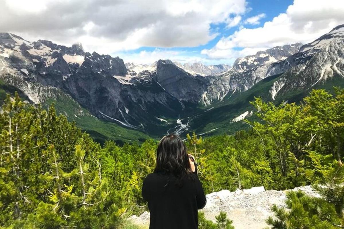 Una mujer tomando una fotografía de un valle de montaña.