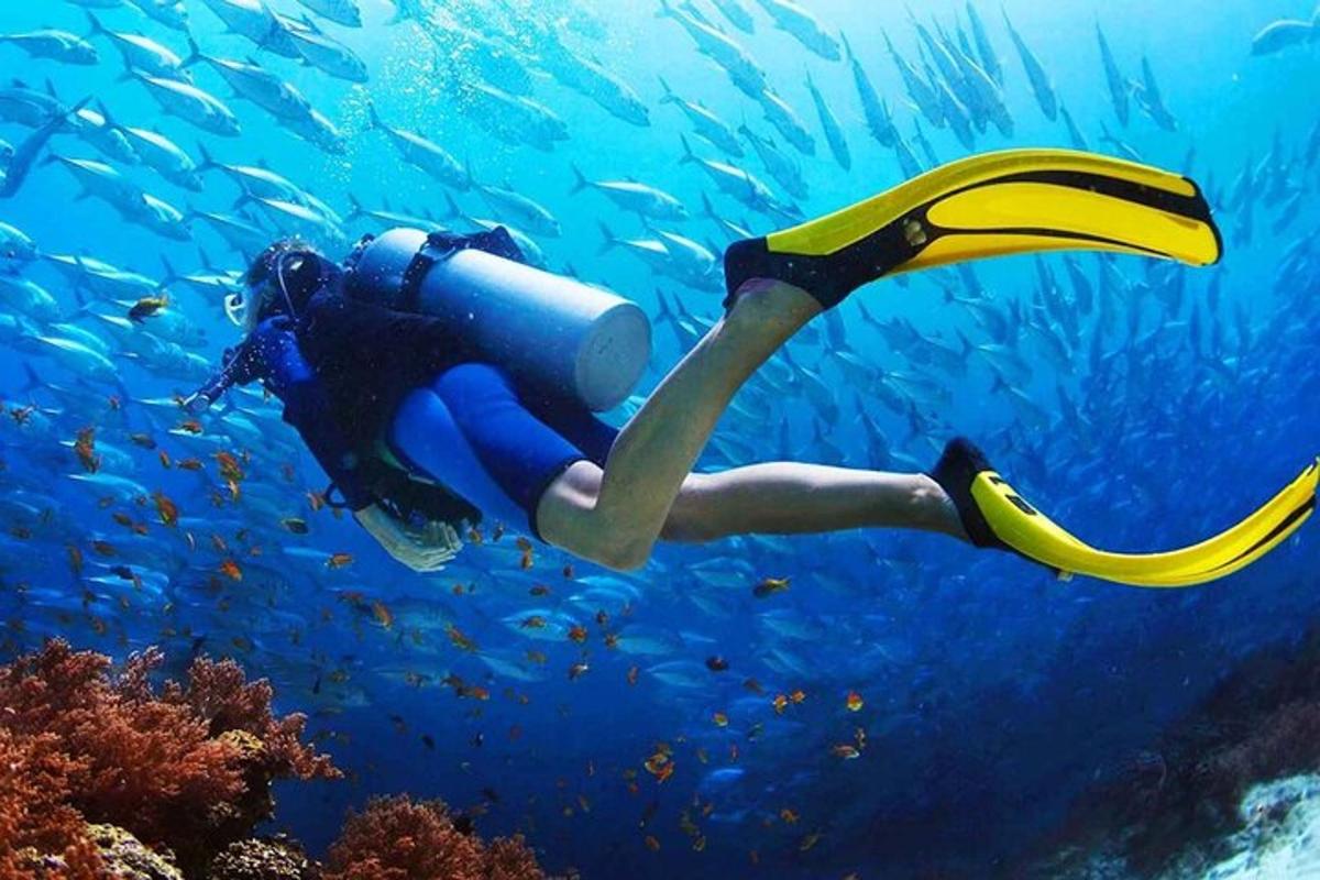 uma pessoa nadando no oceano com água