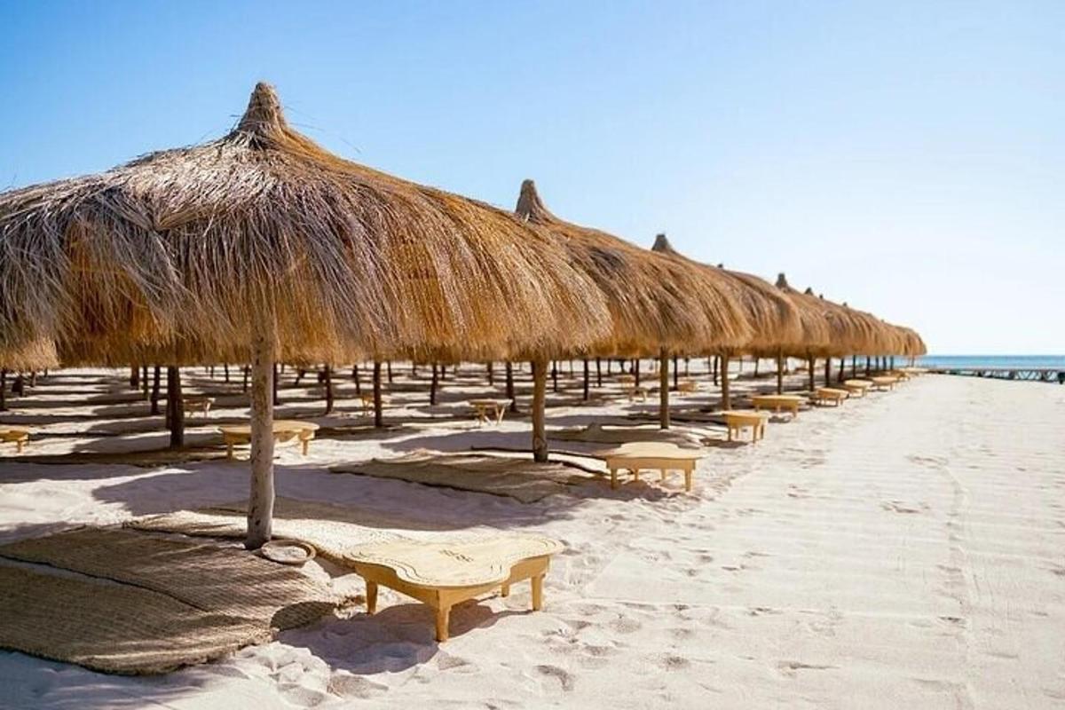 una fila di ombrelloni di paglia su una spiaggia