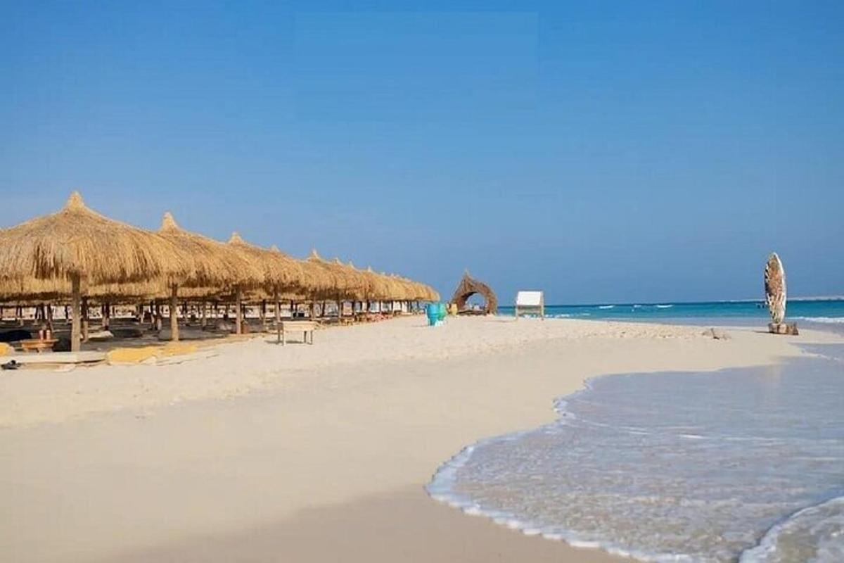 una spiaggia con molti ombrelloni di paglia e l'oceano