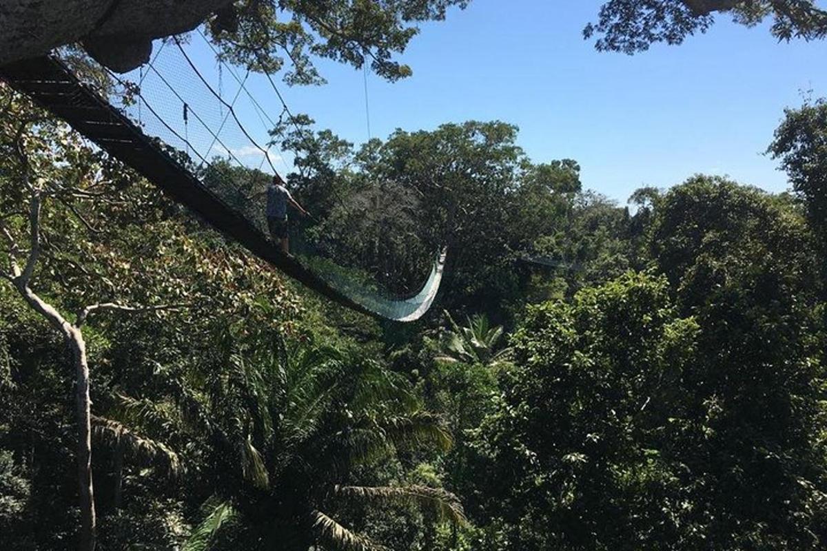 a man on a zip line in the trees