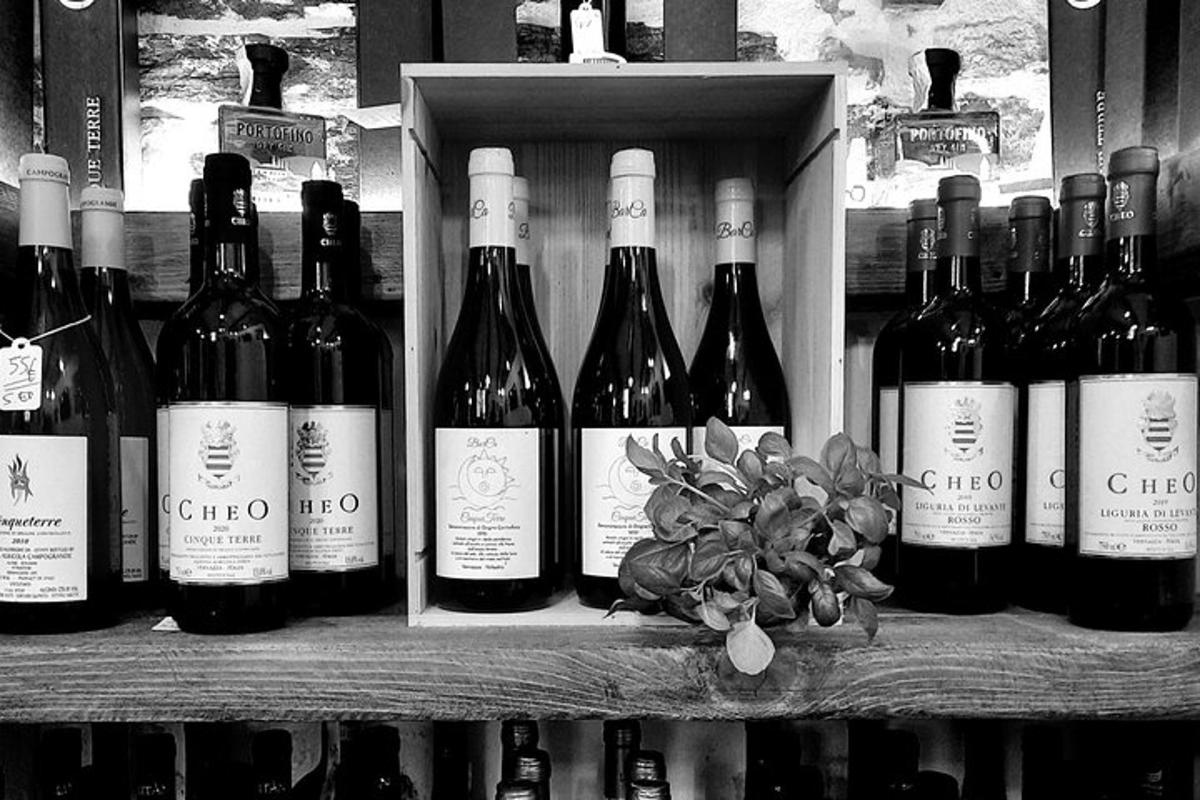 um monte de garrafas de vinho em uma prateleira