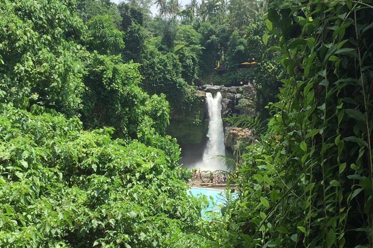 juga keset metsa