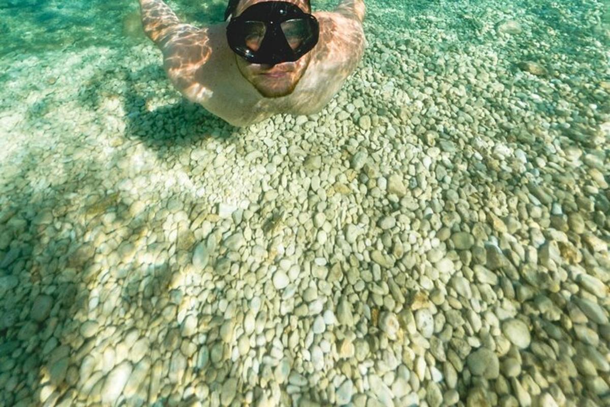 a polar bear is swimming in the water