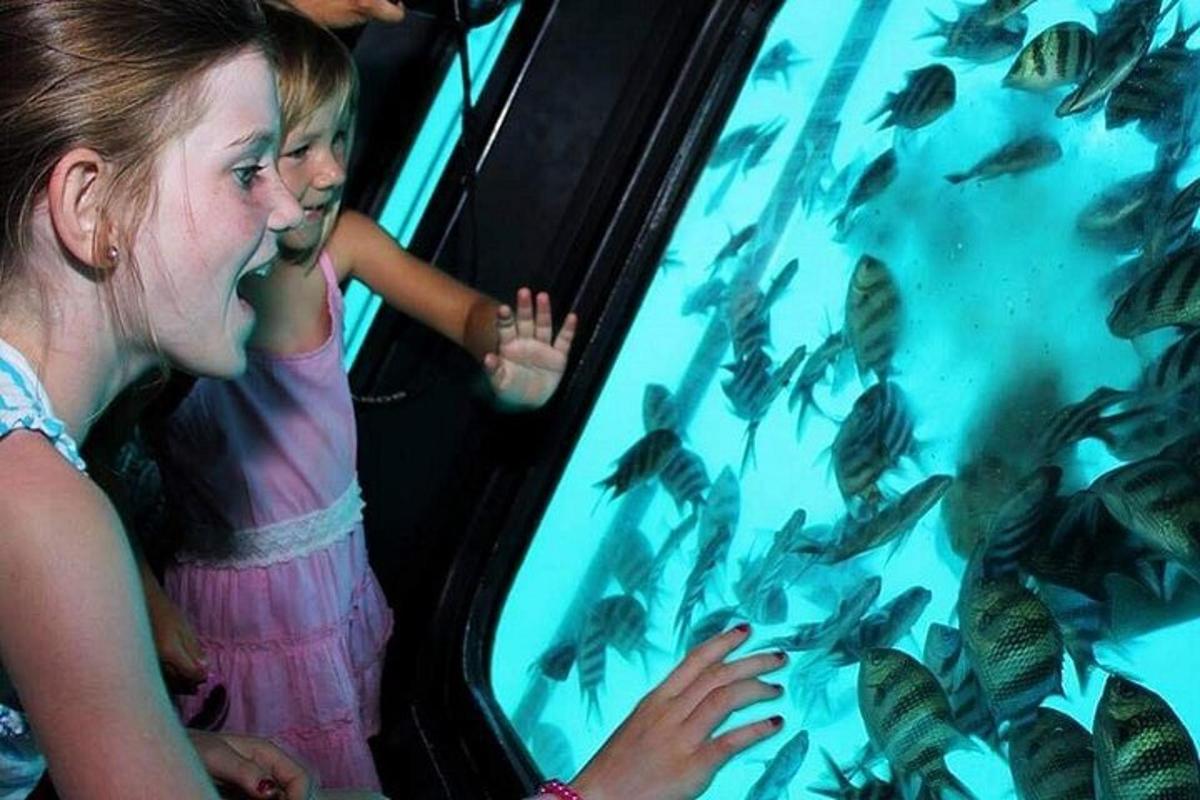 una noia jove mirant peixos en un aquari