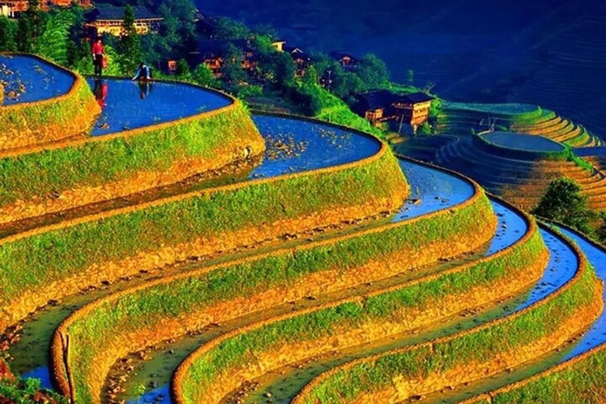 an overhead view of a set of terraces with grass