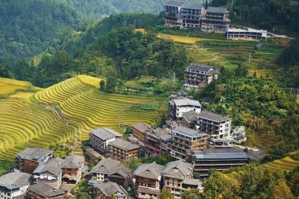 pemandangan udara sebuah kampung bersebelahan sawah